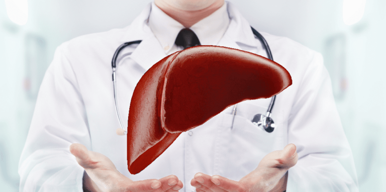 Weiterbildung Ernährung Seminar